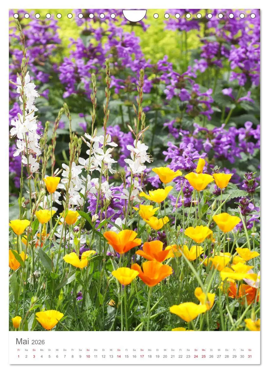 Bild: 9783516392708 | Bunter Sommer (Wandkalender 2026 DIN A4 hoch), CALVENDO Monatskalender