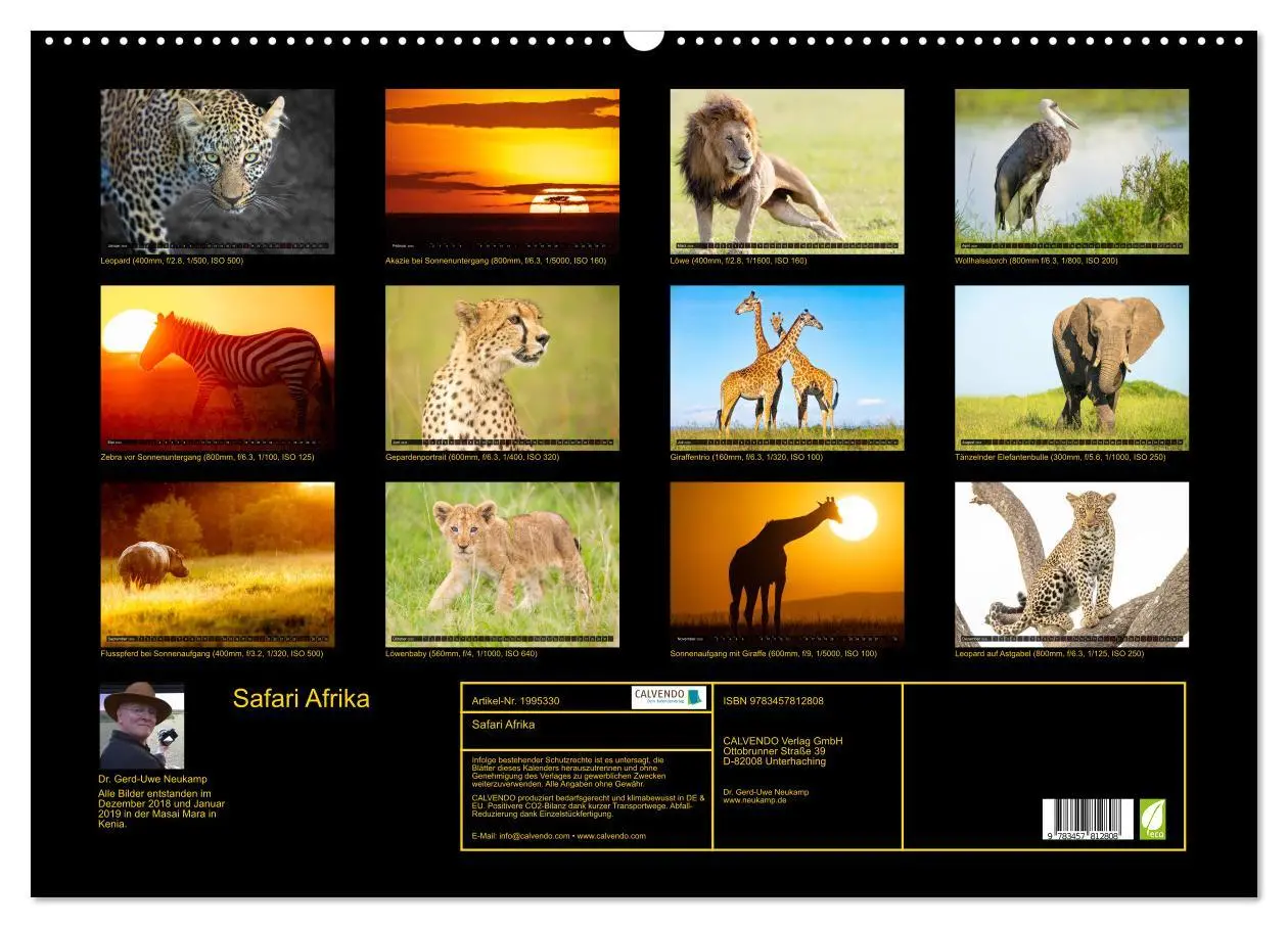 Bild: 9783457812808 | Safari Afrika (Wandkalender 2026 DIN A2 quer), CALVENDO Monatskalender