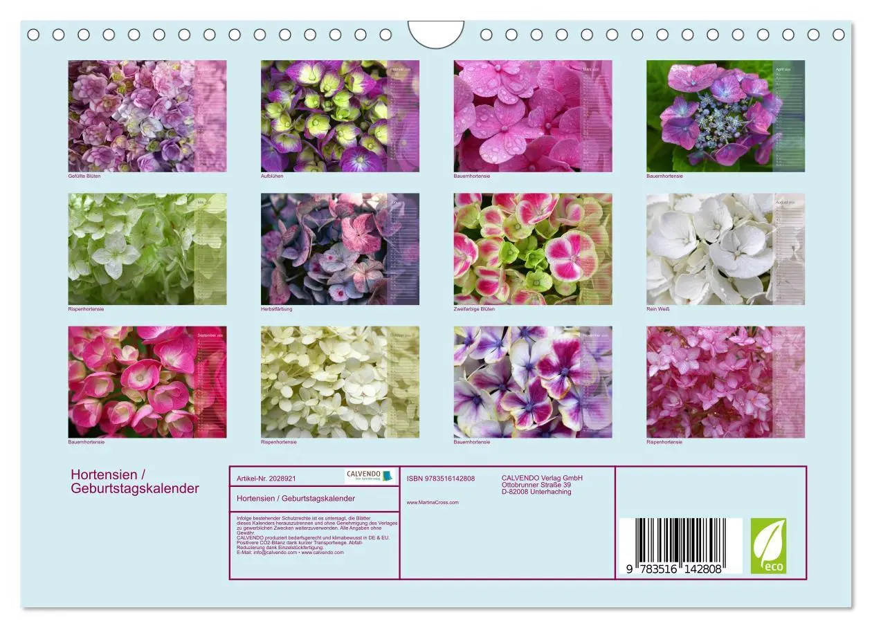 Bild: 9783516142808 | Hortensien / Geburtstagskalender (Wandkalender 2026 DIN A4 quer),...
