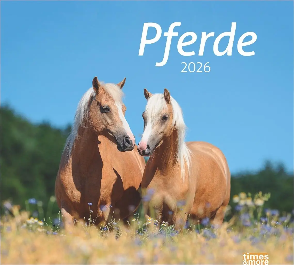 Cover: 9783756412808 | times&amp;more Pferde Bildkalender 2026 | Sabine Stuewer | Kalender | 2026