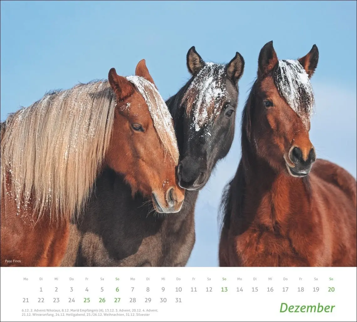 Bild: 9783756412808 | times&amp;more Pferde Bildkalender 2026 | Sabine Stuewer | Kalender | 2026