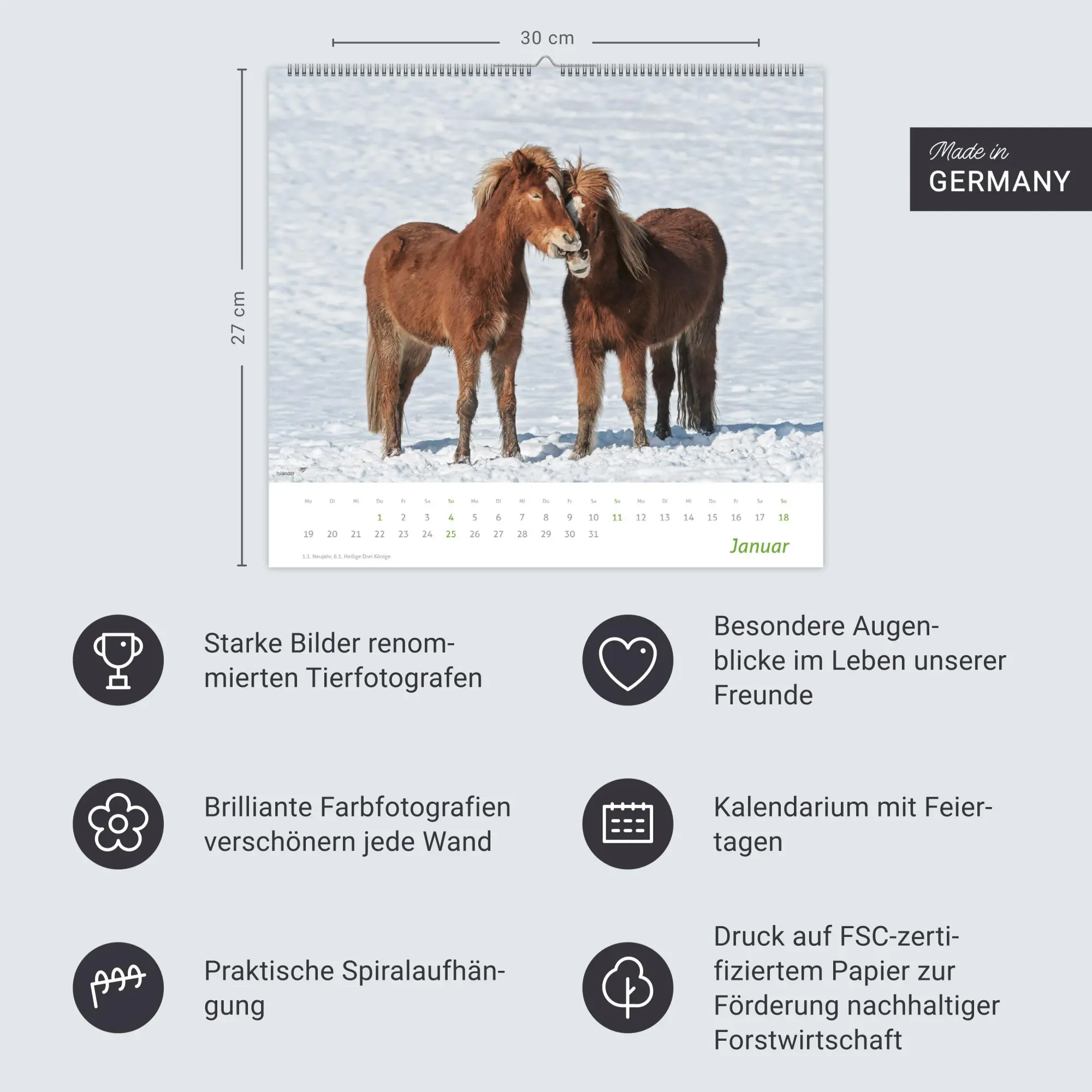 Bild: 9783756412808 | times&amp;more Pferde Bildkalender 2026 | Sabine Stuewer | Kalender | 2026
