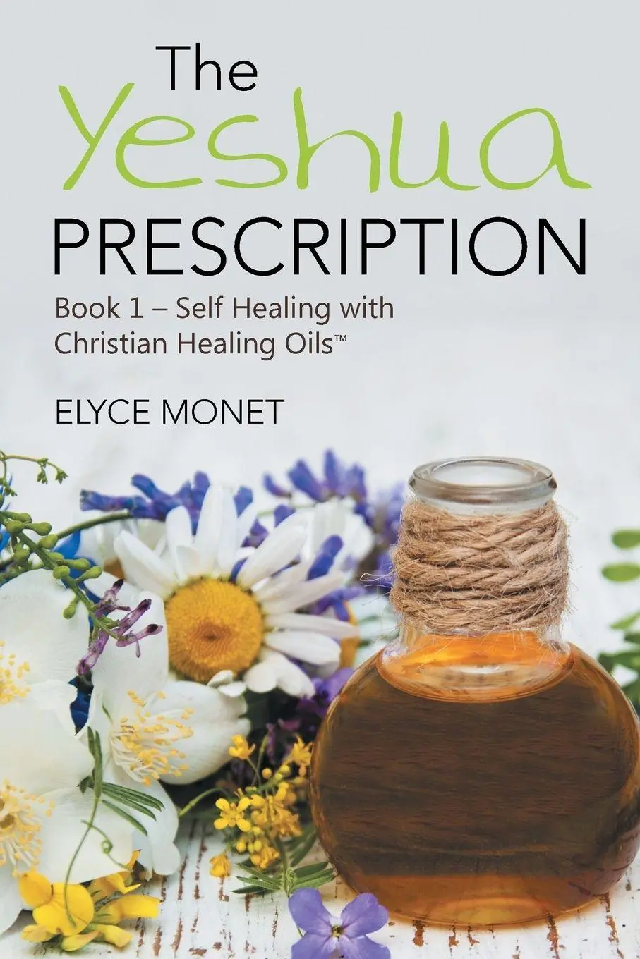Cover: 9781504382908 | The Yeshua Prescription | Elyce Monet | Taschenbuch | Englisch | 2017