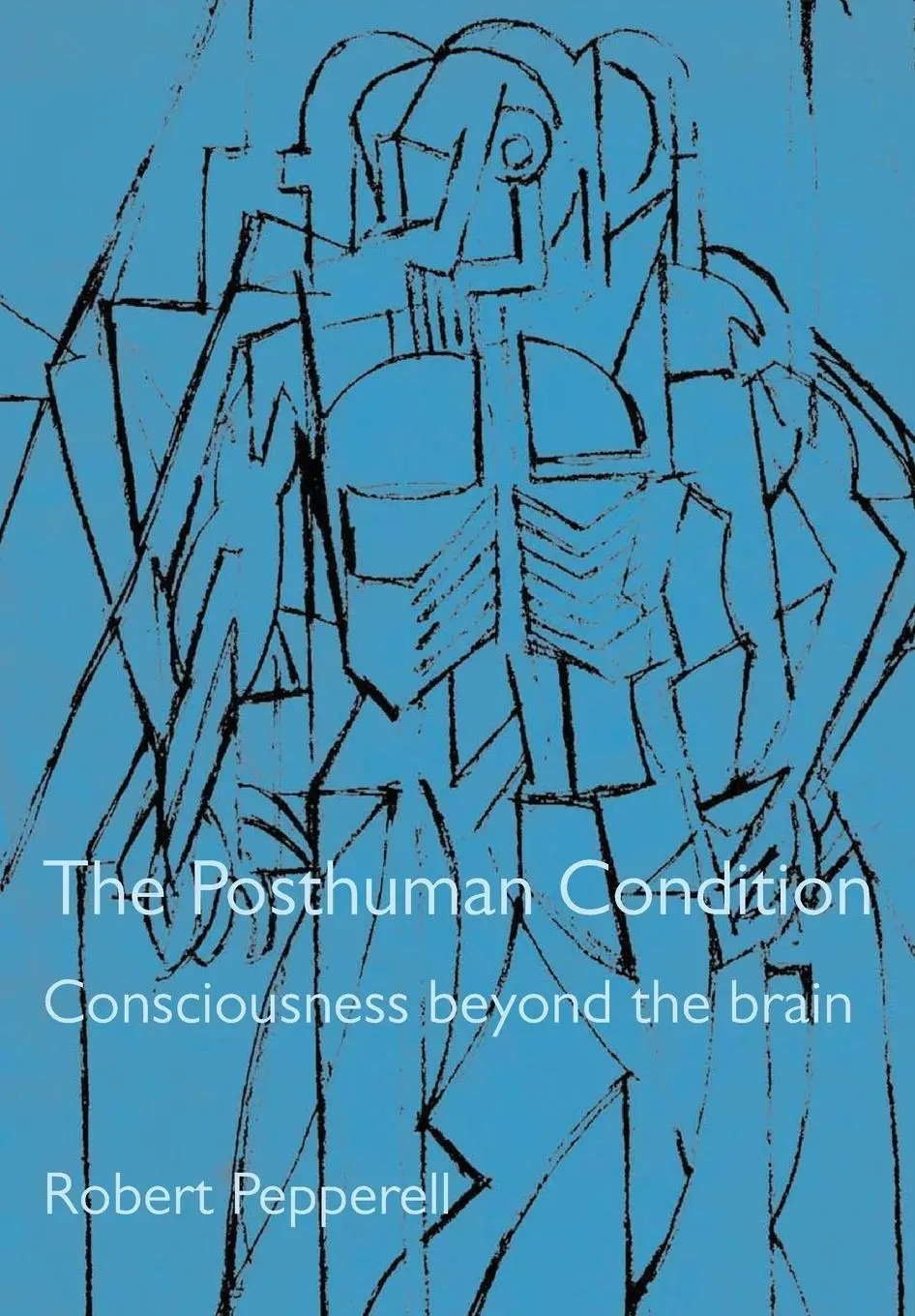Cover: 9781841502908 | The Posthuman Condition | Consciousness Beyond the Brain | Pepperell
