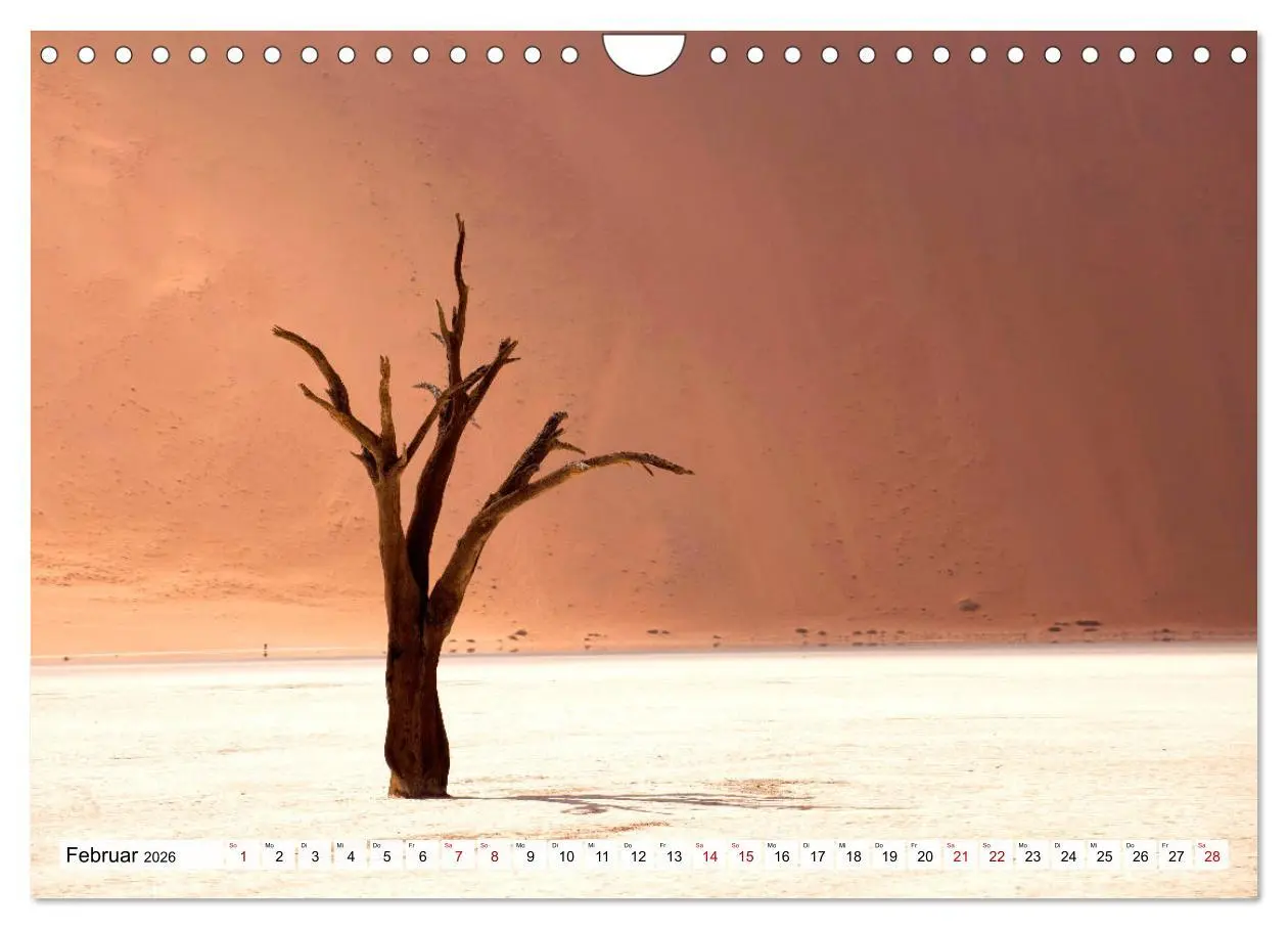 Bild: 9783457802908 | Wüstenlandschaften (Wandkalender 2026 DIN A4 quer), CALVENDO...