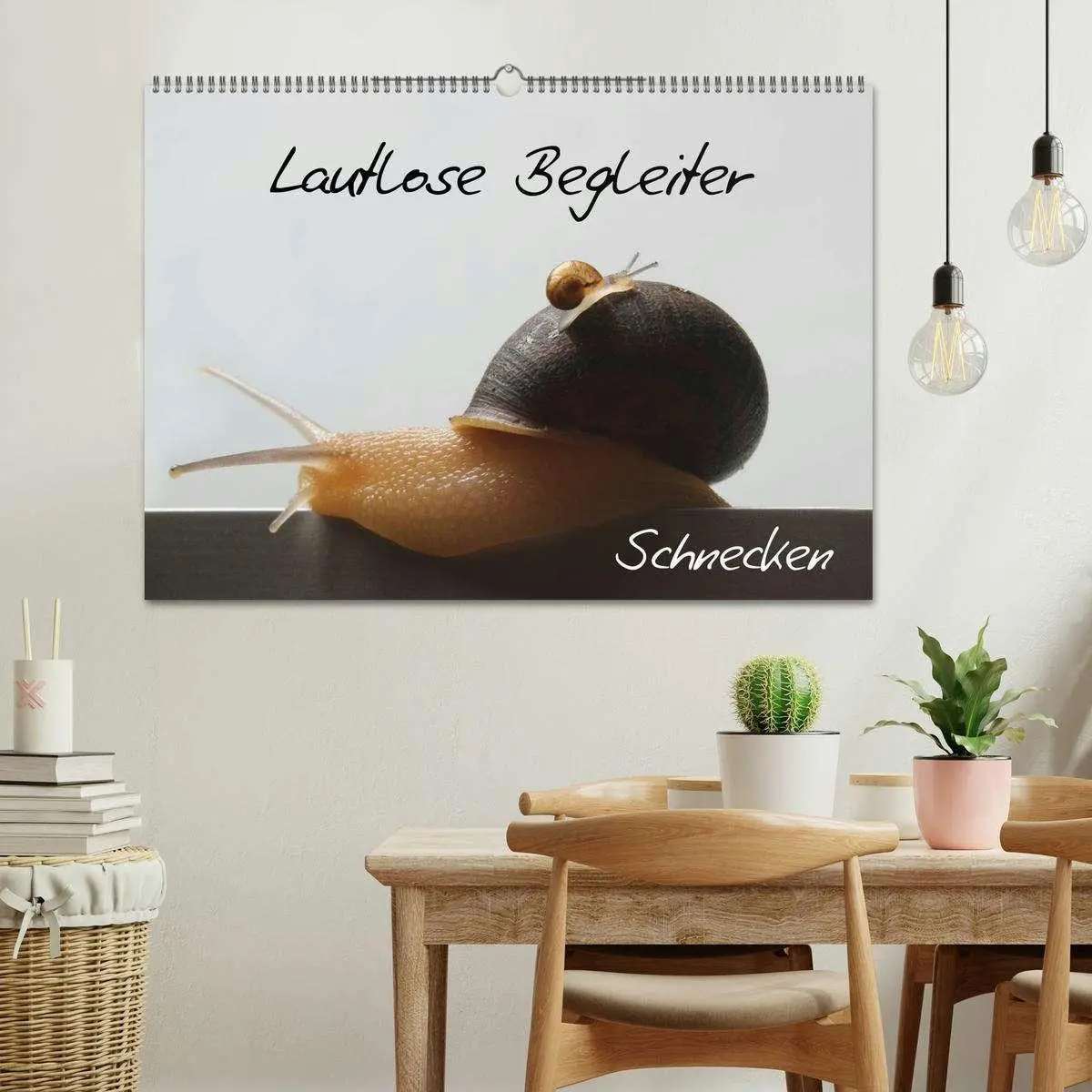 Bild: 9783516132908 | Lautlose Begleiter - Schnecken (Wandkalender 2026 DIN A2 quer),...