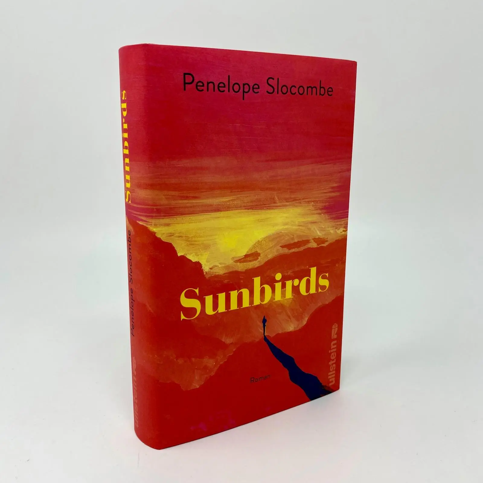 Bild: 9783550203008 | Sunbirds | Penelope Slocombe | Buch | 416 S. | Deutsch | 2025