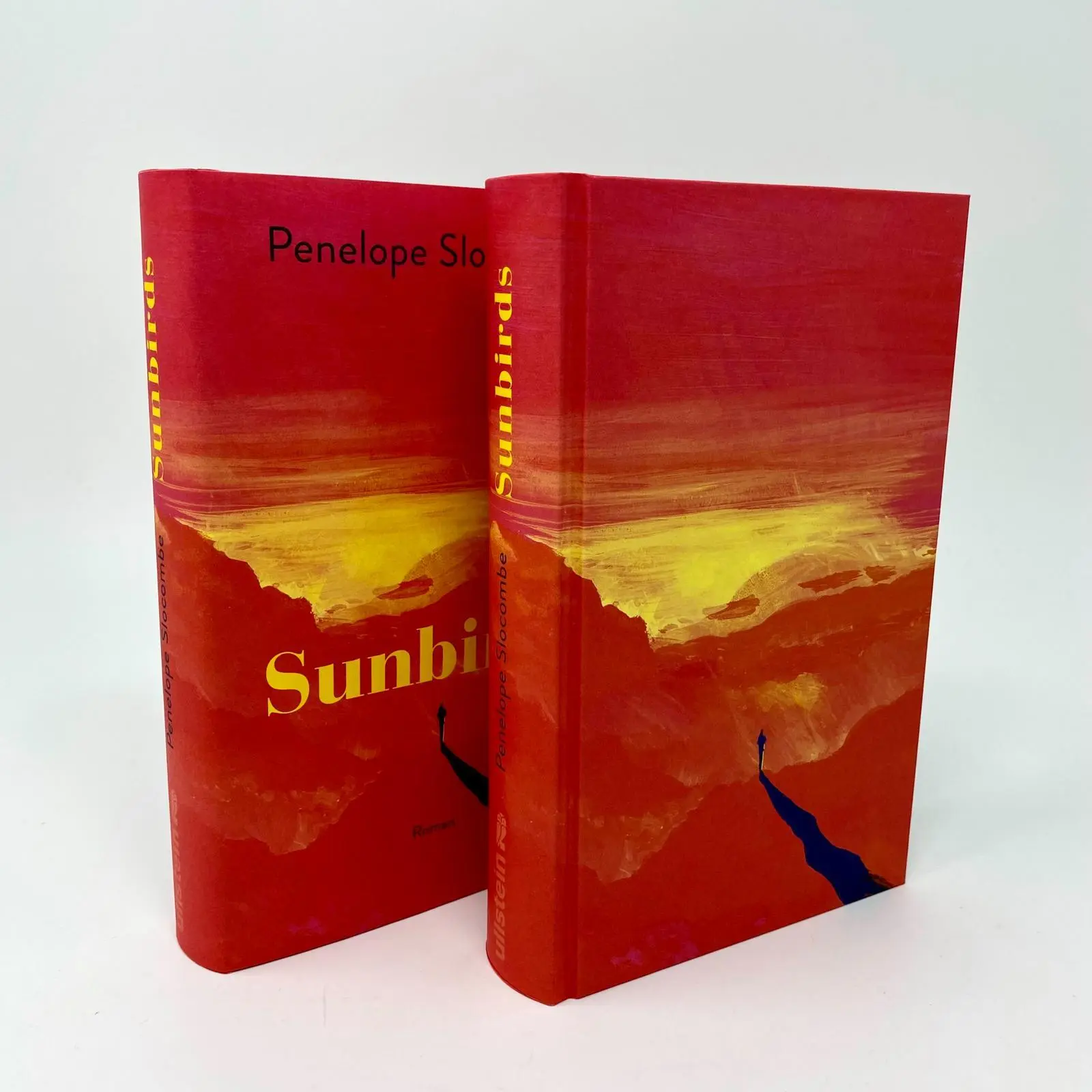 Bild: 9783550203008 | Sunbirds | Penelope Slocombe | Buch | 416 S. | Deutsch | 2025