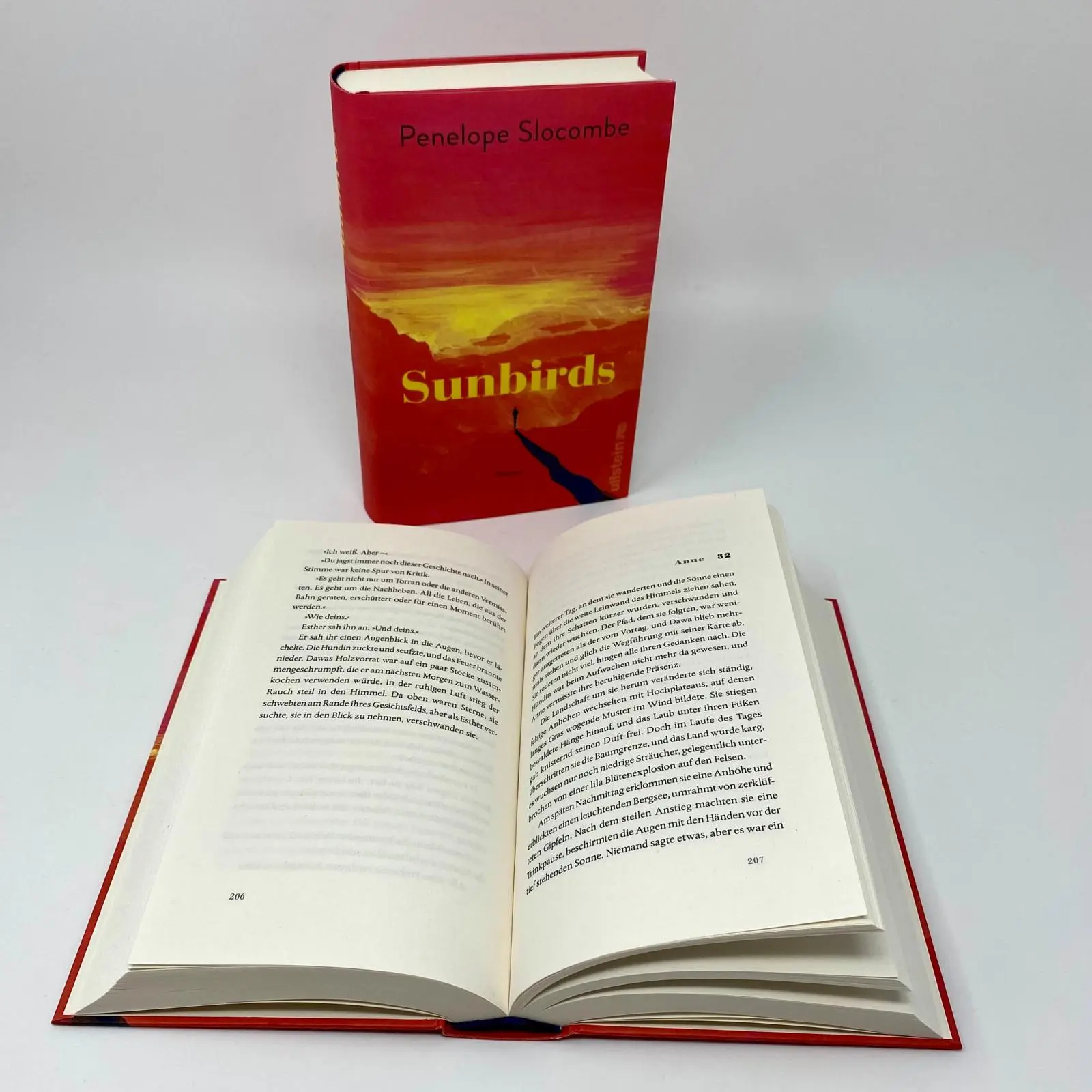 Bild: 9783550203008 | Sunbirds | Penelope Slocombe | Buch | 416 S. | Deutsch | 2025