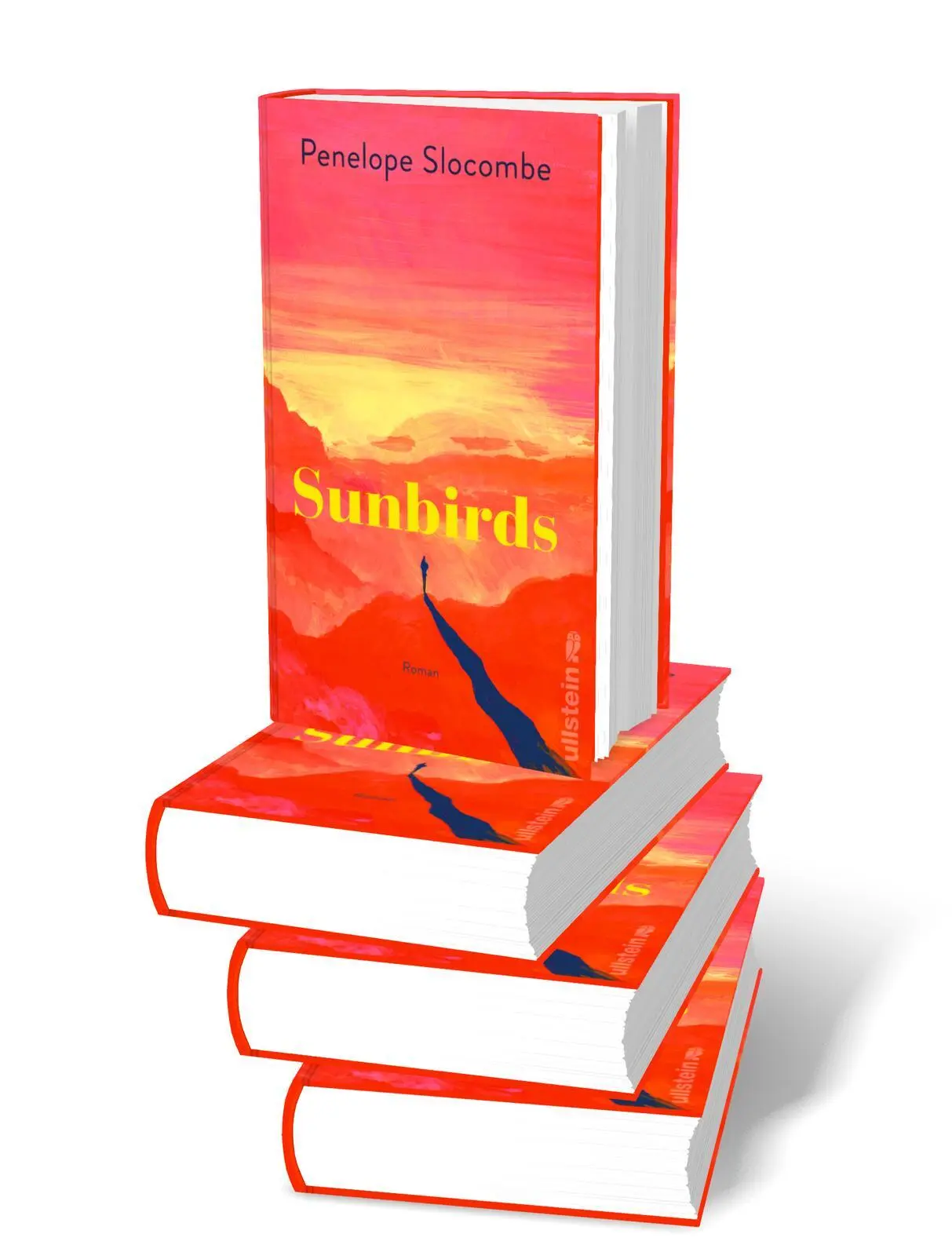 Bild: 9783550203008 | Sunbirds | Penelope Slocombe | Buch | 416 S. | Deutsch | 2025