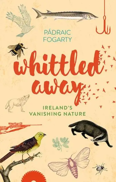 Cover: 9781848893108 | Whittled Away | Padraic Fogarty | Buch | Gebunden | Englisch | 2017
