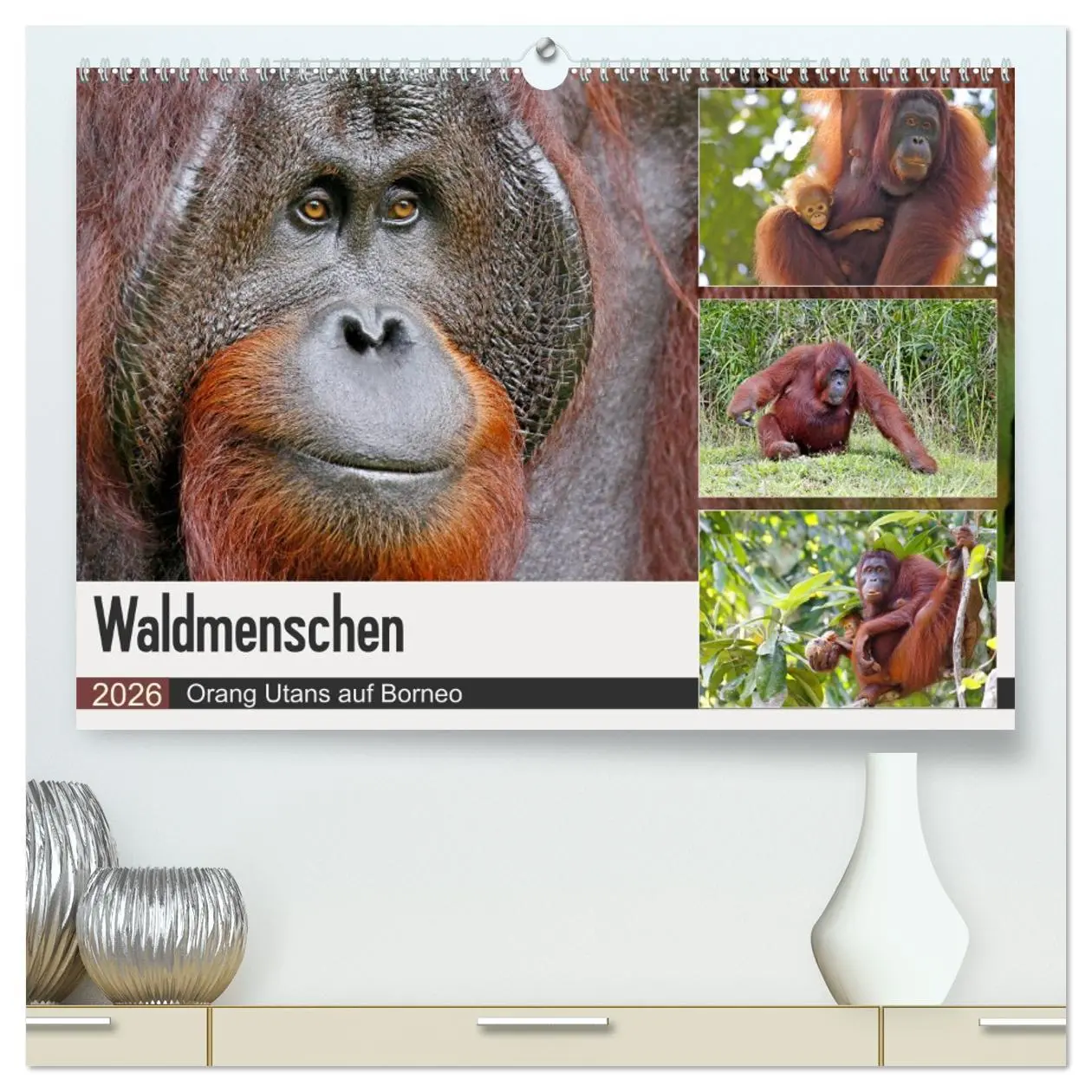 Cover: 9783457853108 | Waldmenschen - Orang Utans auf Borneo (hochwertiger Premium...