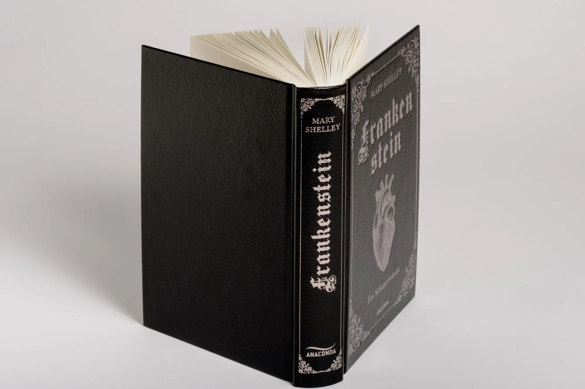 Bild: 9783730613108 | Frankenstein. Ein Schauerroman | Mary Shelley | Buch | 304 S. | 2023