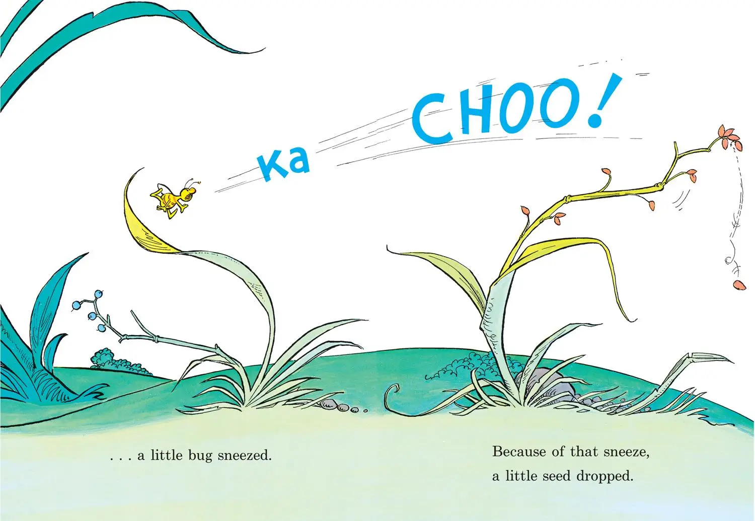 Bild: 9780001713208 | BECAUSE BUG KA CHOO TPB | Seuss | Taschenbuch | Englisch | 2001