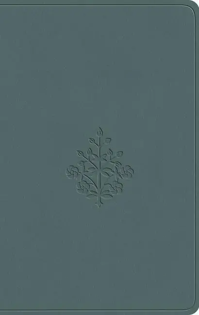 Cover: 9781433593208 | ESV Value Compact Bible (Trutone, Paris Sky, Branch Design) | . | Buch