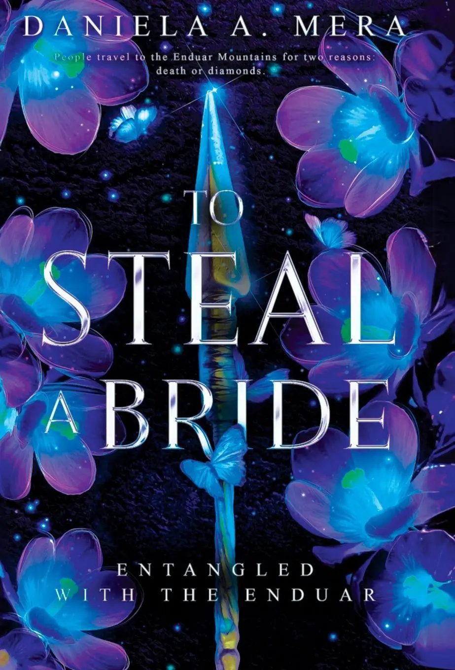 Cover: 9781960343208 | To Steal a Bride | An Enemies to Lovers Fantasy Romance | Mera | Buch