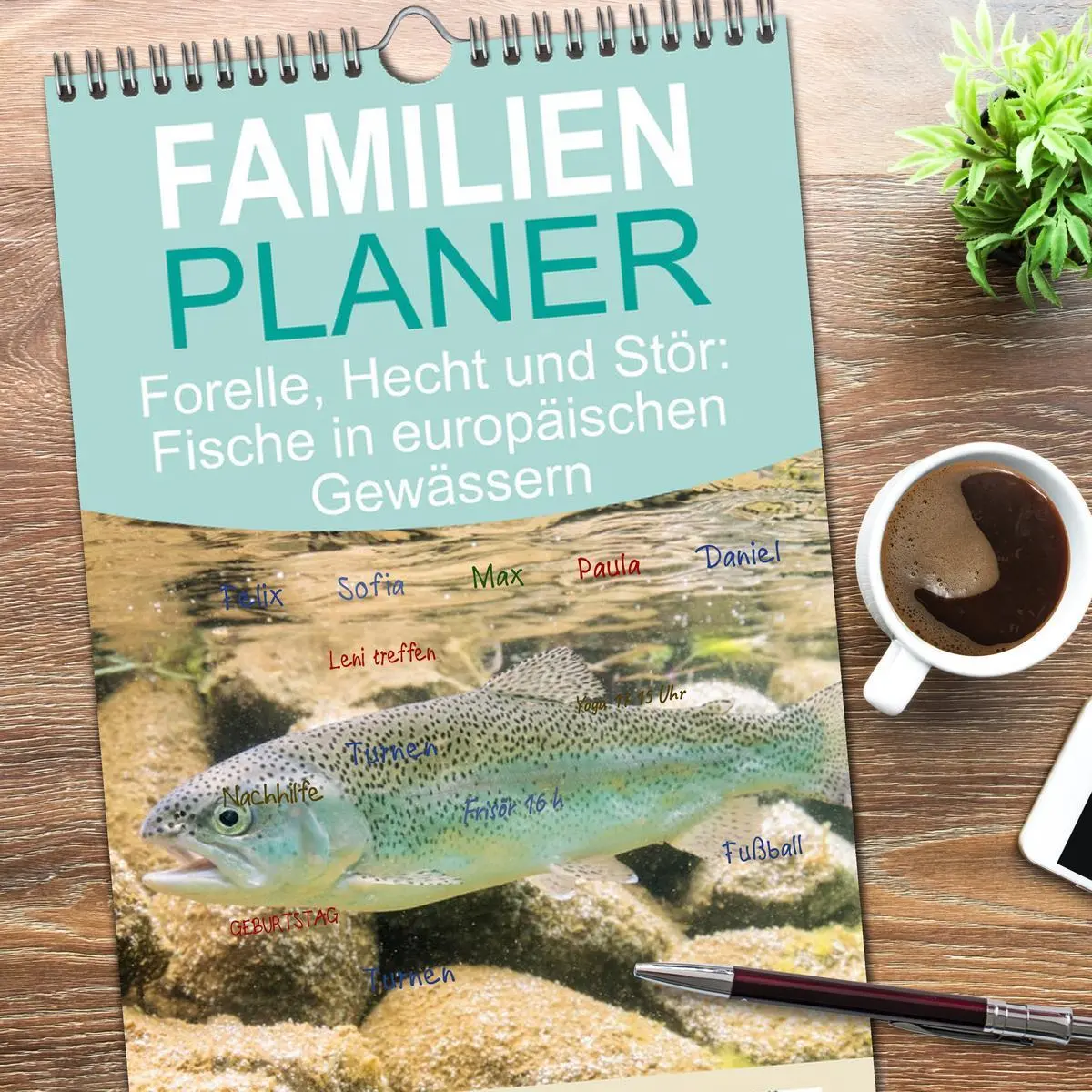 Bild: 9783516623208 | Familienplaner 2026 - Forelle, Hecht und Stör: Fische in...