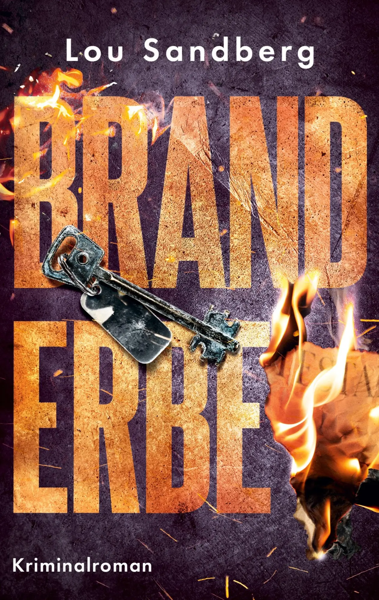 Cover: 9783695133208 | Branderbe | Kriminalroman | Lou Sandberg | Taschenbuch | 272 S. | 2025