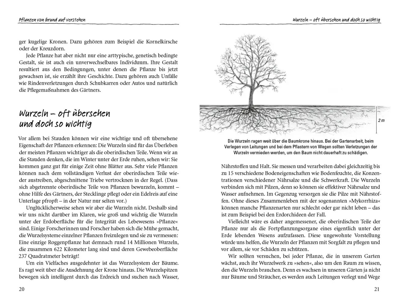 Bild: 9783895663208 | Der sanfte Schnitt | Ulrike Aufderheide | Buch | 195 S. | Deutsch