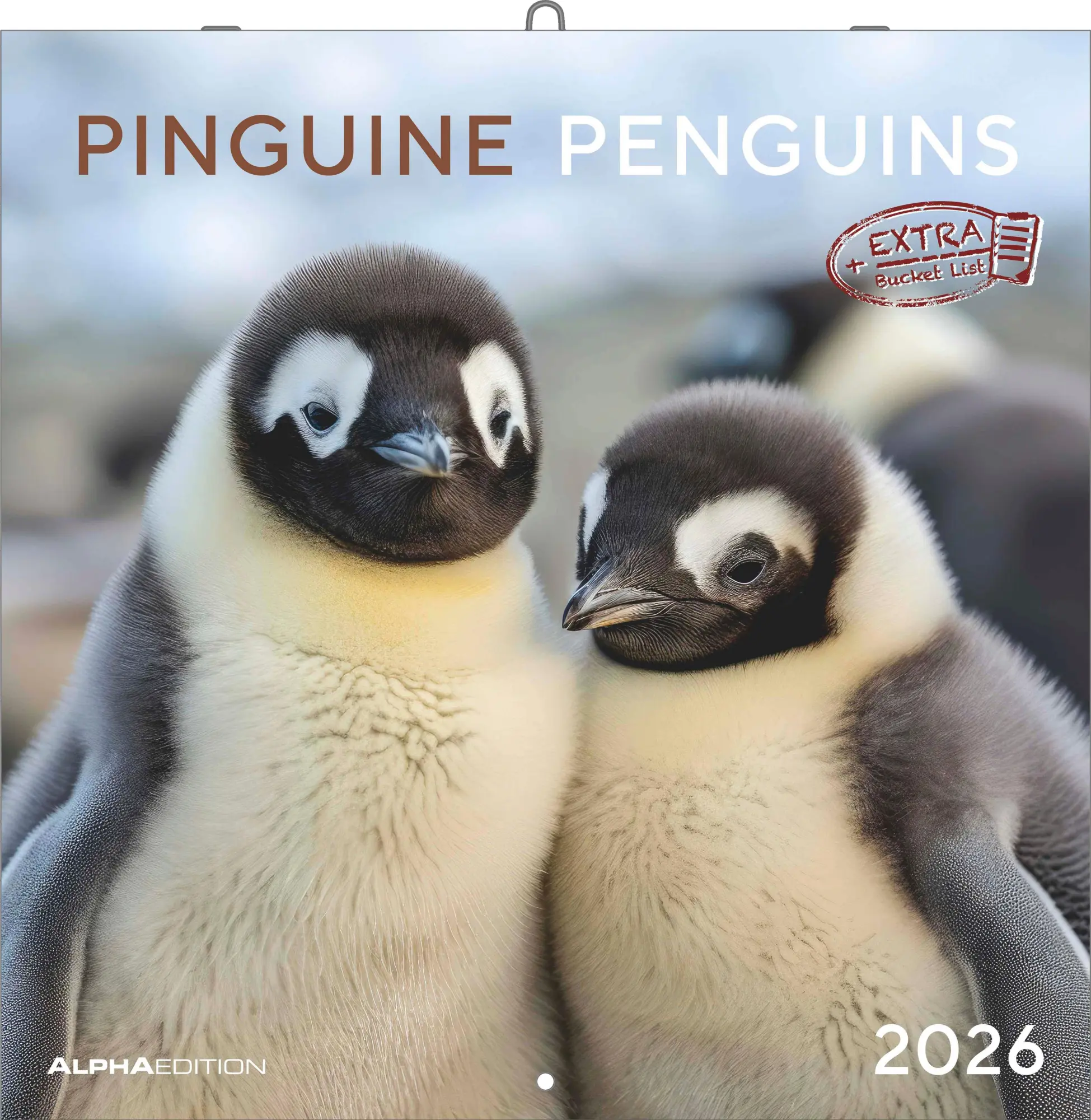 Cover: 4069095003408 | Pinguine 2026 - Broschürenkalender 30x30 cm (30x60 geöffnet) -...