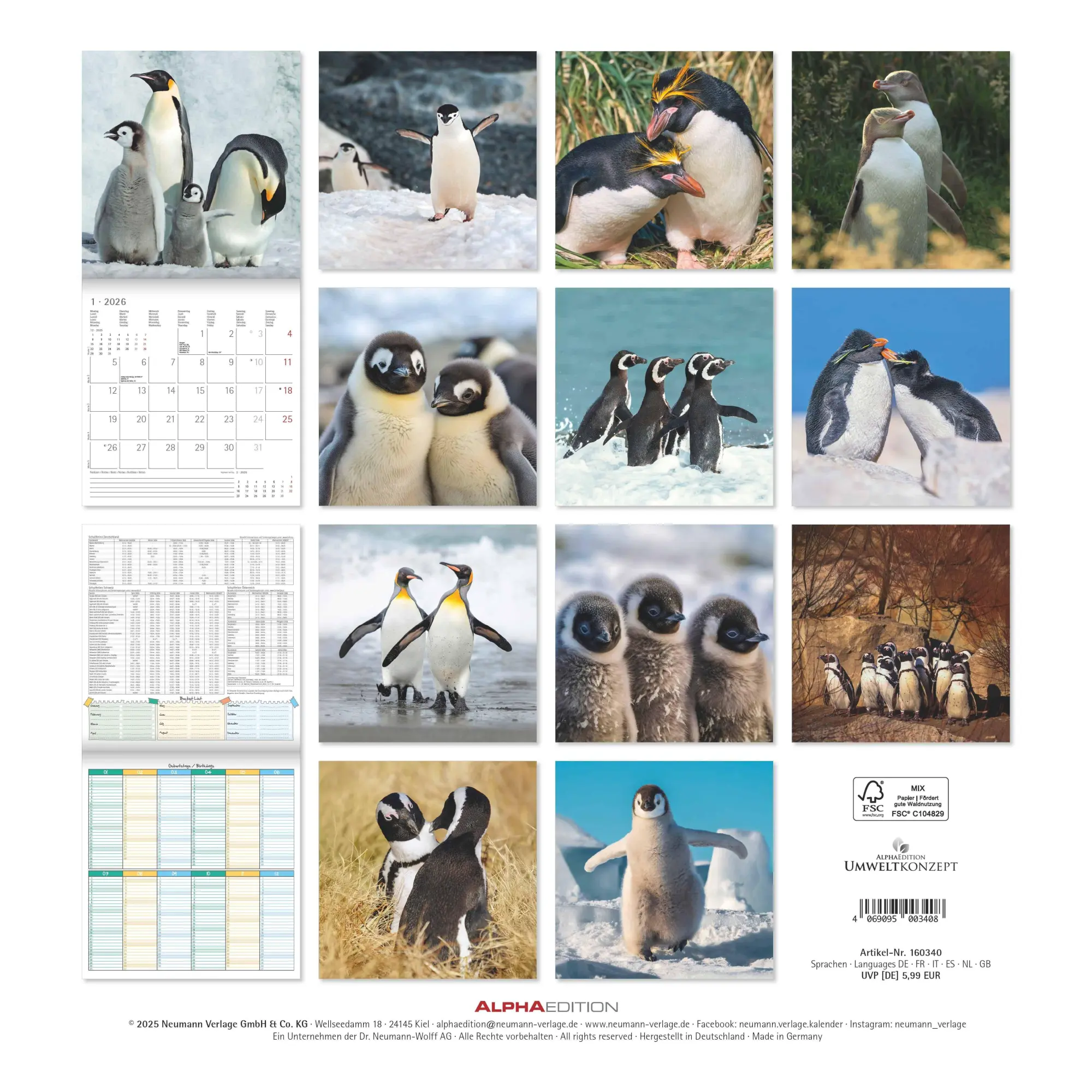 Rückseite: 4069095003408 | Pinguine 2026 - Broschürenkalender 30x30 cm (30x60 geöffnet) -...