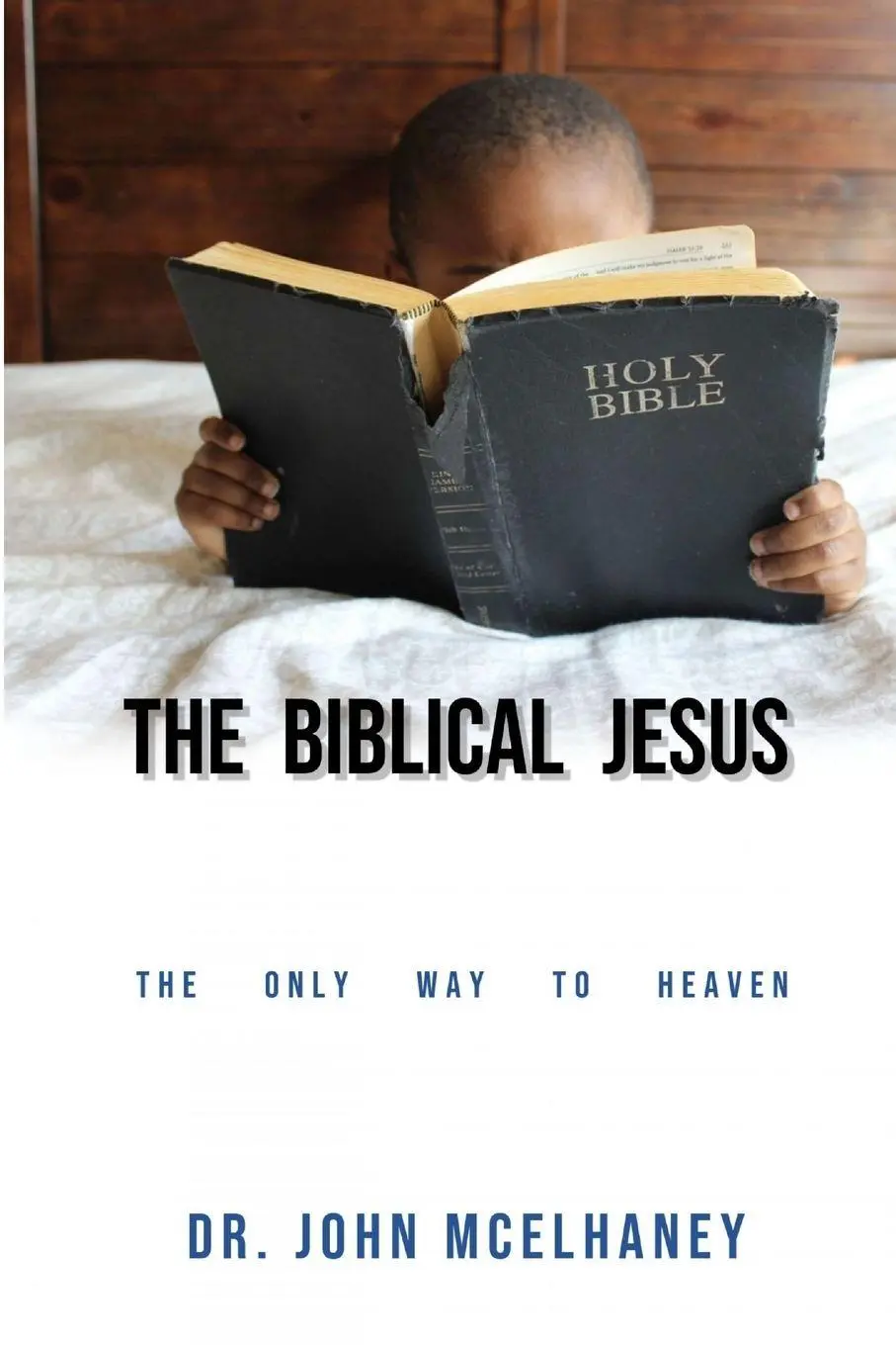 Cover: 9780359663408 | The Biblical Jesus | John McElhaney | Taschenbuch | Englisch | 2019