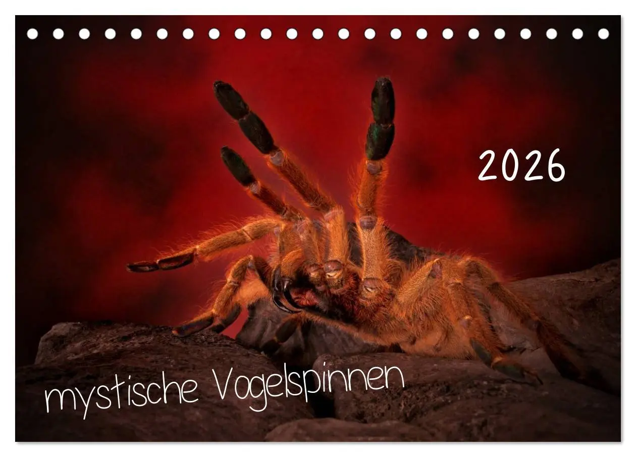 Cover: 9783457993408 | Mystische Vogelspinnen (Tischkalender 2026 DIN A5 quer), CALVENDO...