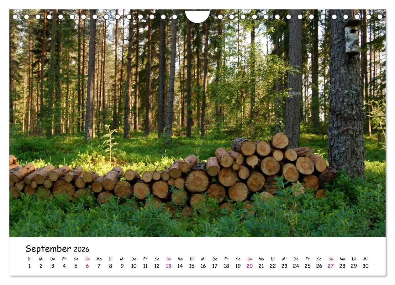 Bild: 9783516153408 | Südschweden Smaland 2026 (Wandkalender 2026 DIN A4 quer), CALVENDO...