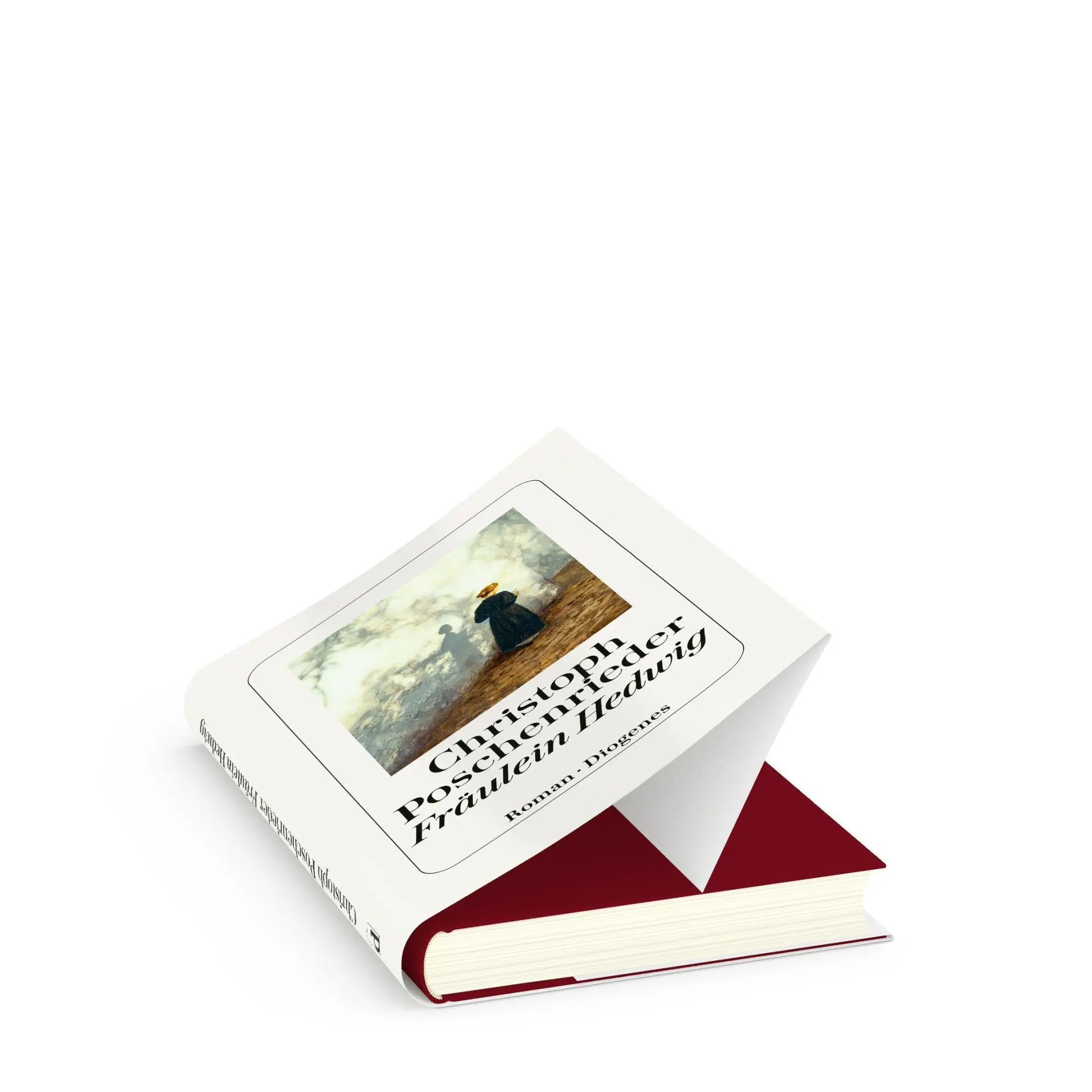 Bild: 9783257073508 | Fräulein Hedwig | Christoph Poschenrieder | Buch | 336 S. | Deutsch