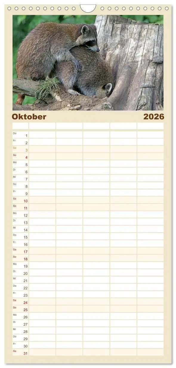 Bild: 9783516523508 | Familienplaner 2026 - Waschbären mit 5 Spalten (Wandkalender, 21 x...