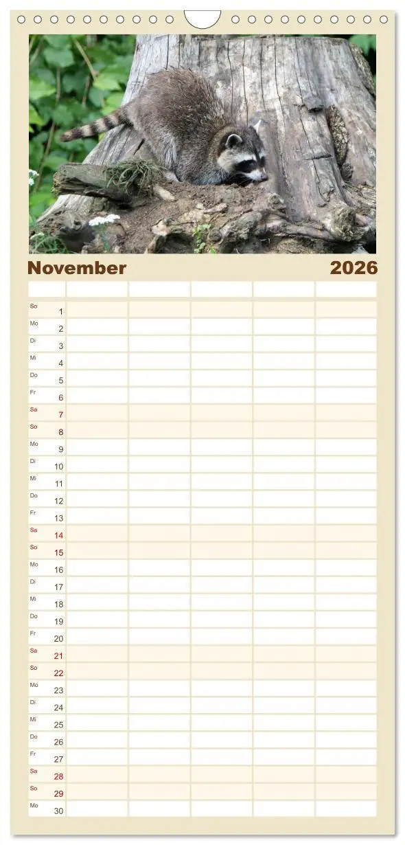 Bild: 9783516523508 | Familienplaner 2026 - Waschbären mit 5 Spalten (Wandkalender, 21 x...