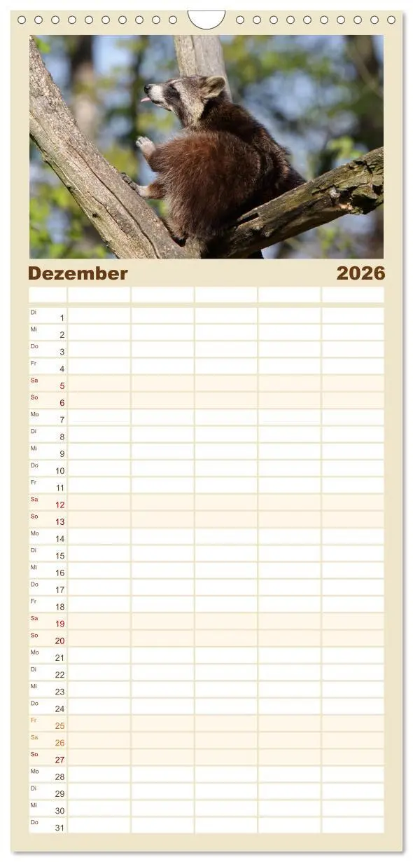 Bild: 9783516523508 | Familienplaner 2026 - Waschbären mit 5 Spalten (Wandkalender, 21 x...