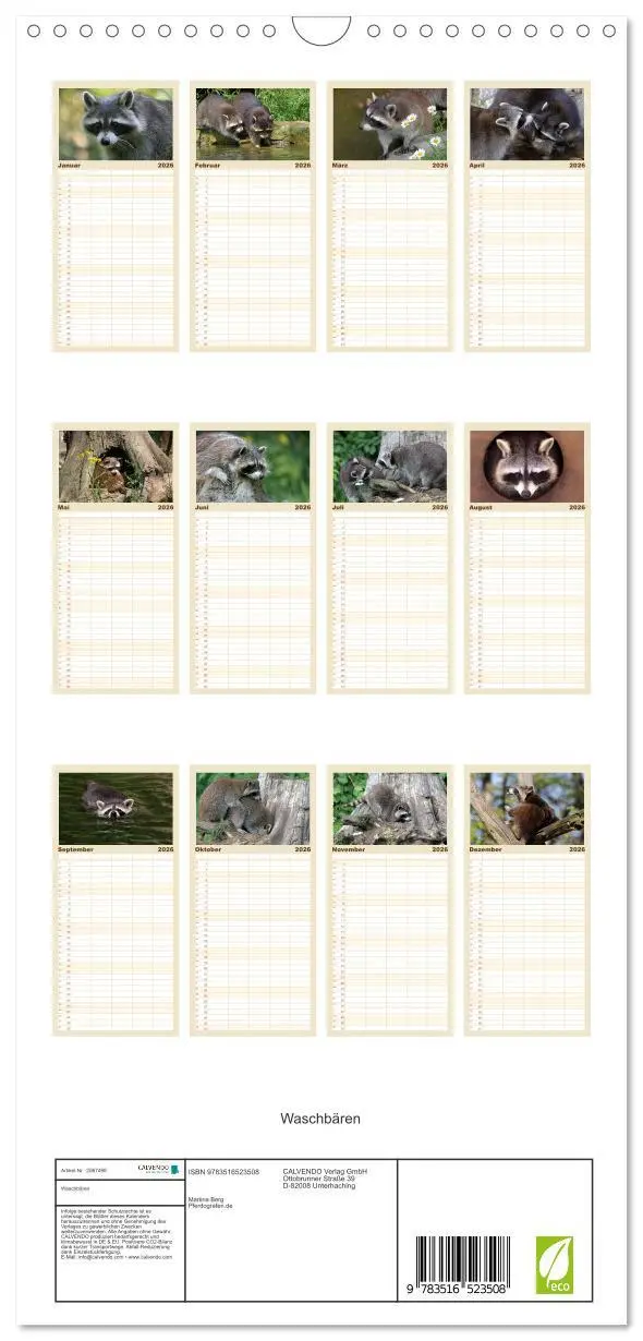 Bild: 9783516523508 | Familienplaner 2026 - Waschbären mit 5 Spalten (Wandkalender, 21 x...