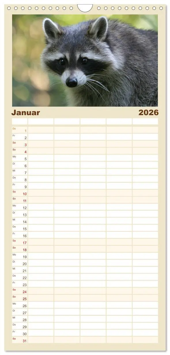 Bild: 9783516523508 | Familienplaner 2026 - Waschbären mit 5 Spalten (Wandkalender, 21 x...