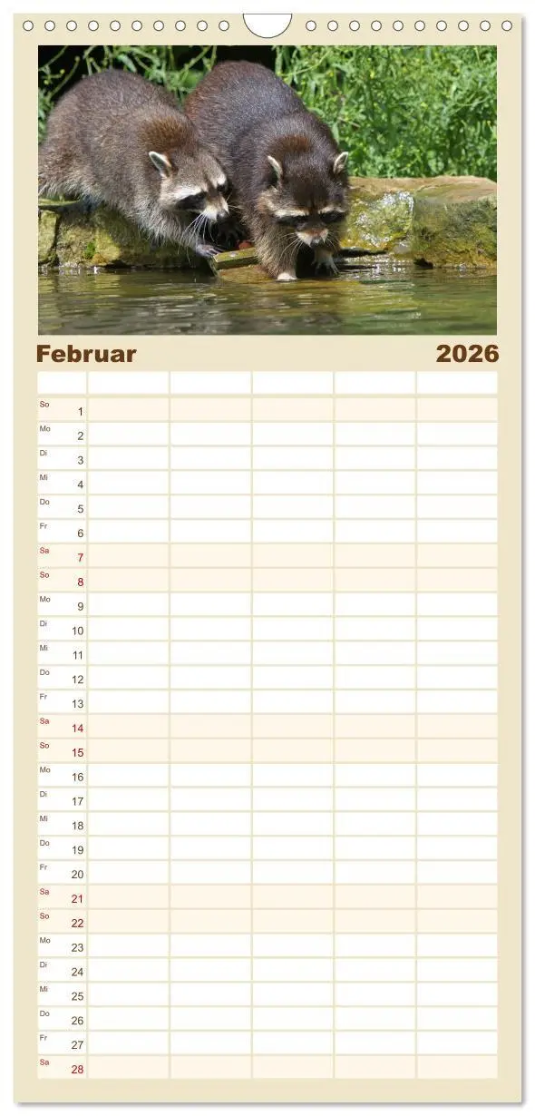 Bild: 9783516523508 | Familienplaner 2026 - Waschbären mit 5 Spalten (Wandkalender, 21 x...