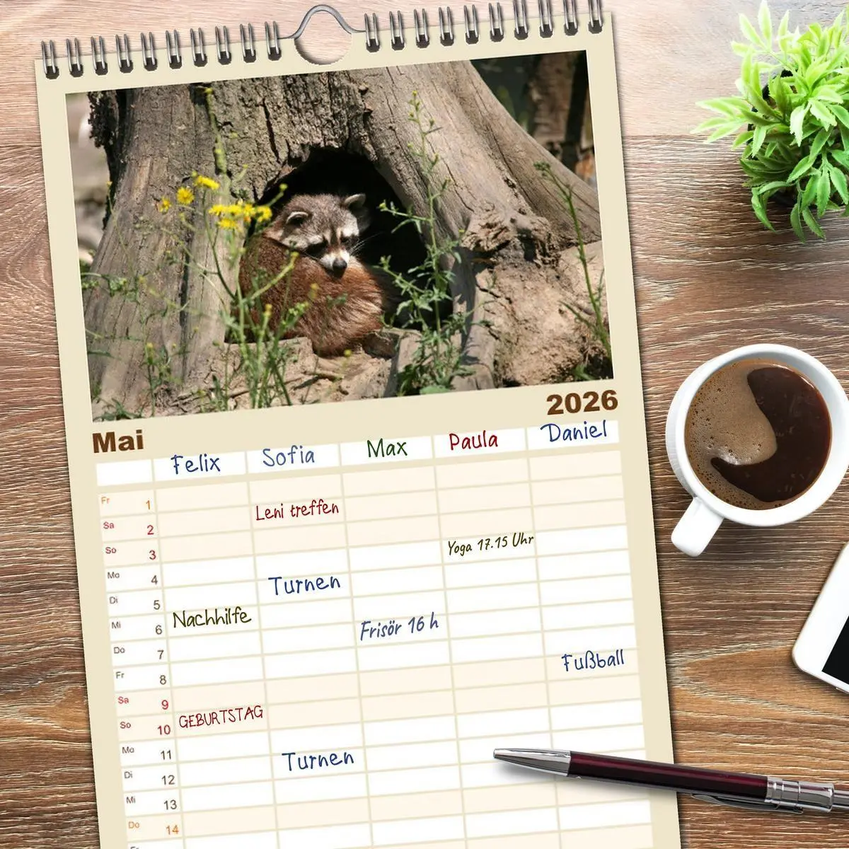 Bild: 9783516523508 | Familienplaner 2026 - Waschbären mit 5 Spalten (Wandkalender, 21 x...