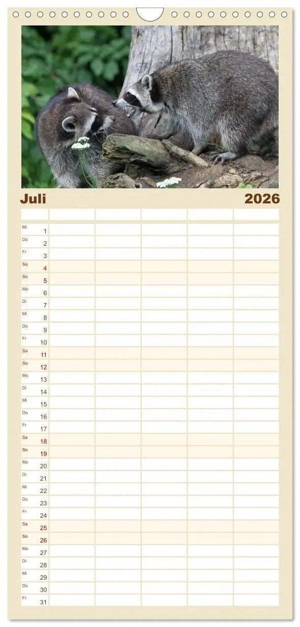 Bild: 9783516523508 | Familienplaner 2026 - Waschbären mit 5 Spalten (Wandkalender, 21 x...