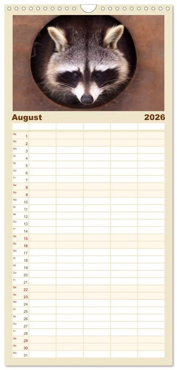 Bild: 9783516523508 | Familienplaner 2026 - Waschbären mit 5 Spalten (Wandkalender, 21 x...