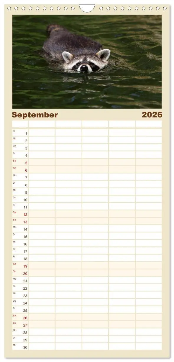 Bild: 9783516523508 | Familienplaner 2026 - Waschbären mit 5 Spalten (Wandkalender, 21 x...