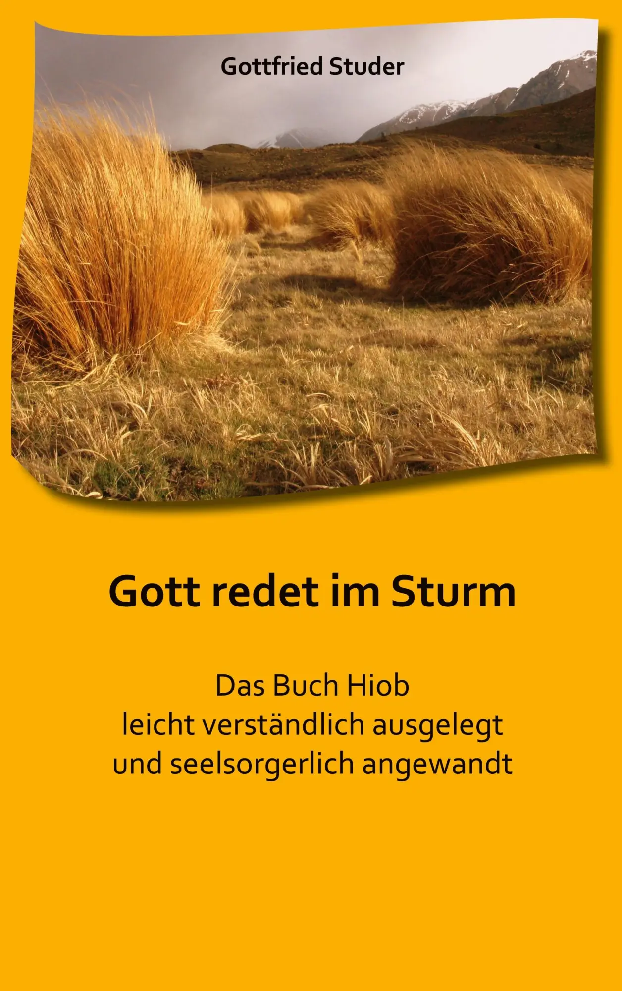 Cover: 9783695103508 | Gott redet im Sturm | Gottfried Studer | Taschenbuch | 128 S. | 2025