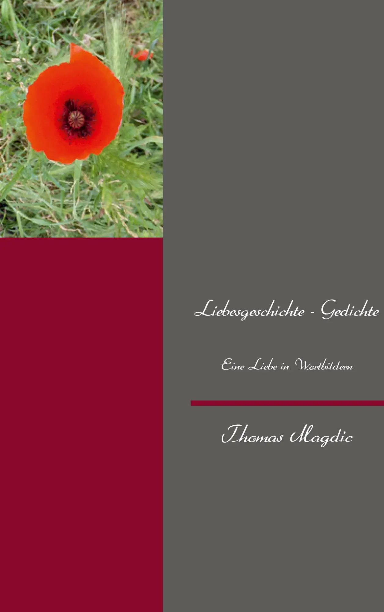 Cover: 9783732273508 | Liebesgeschichte - Gedichte | Eine Liebe in Wortbildern | Magdic