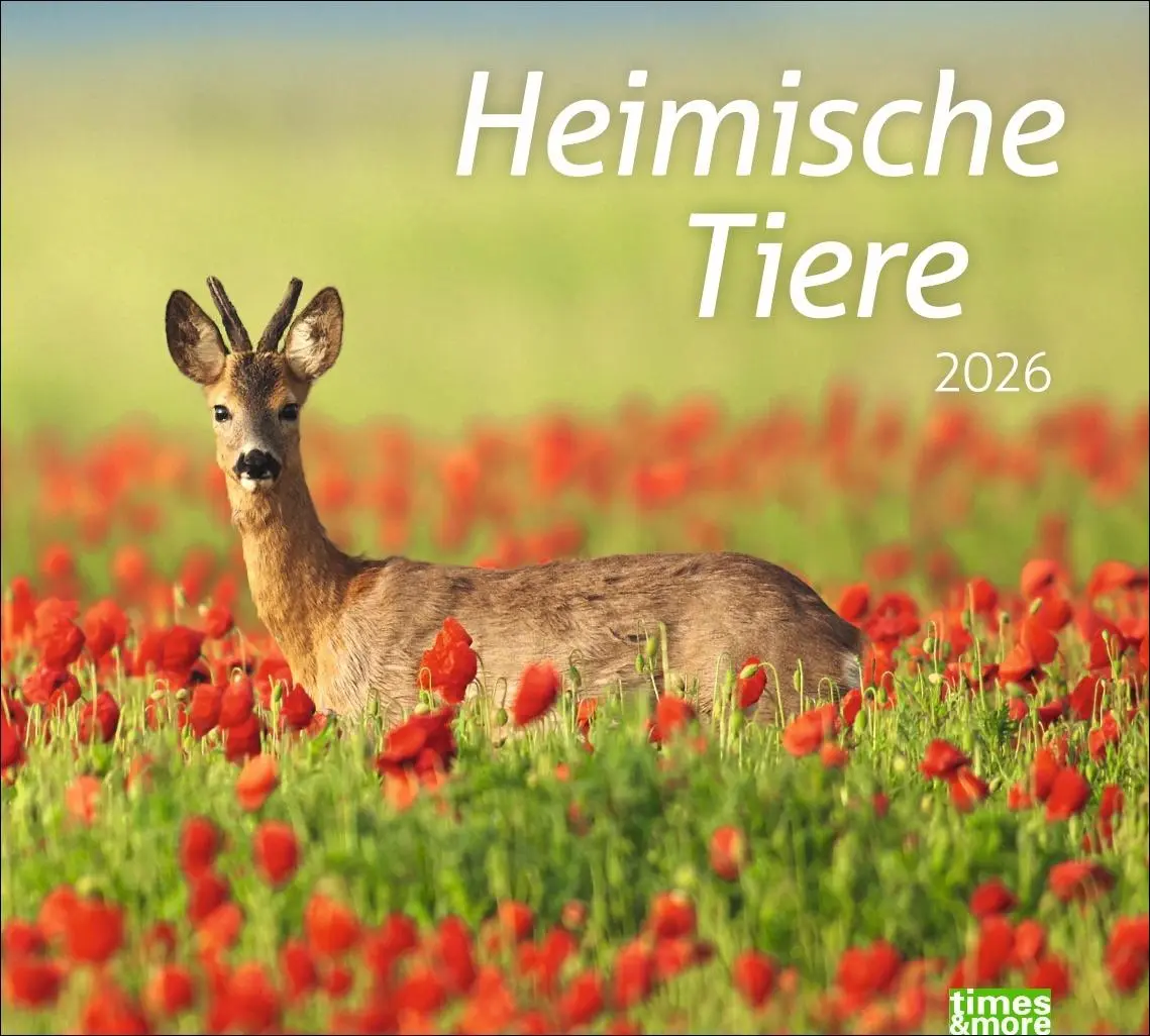 Cover: 9783756413508 | times&amp;more Heimische Tiere Bildkalender 2026 | Kalender | 14 S. | 2026