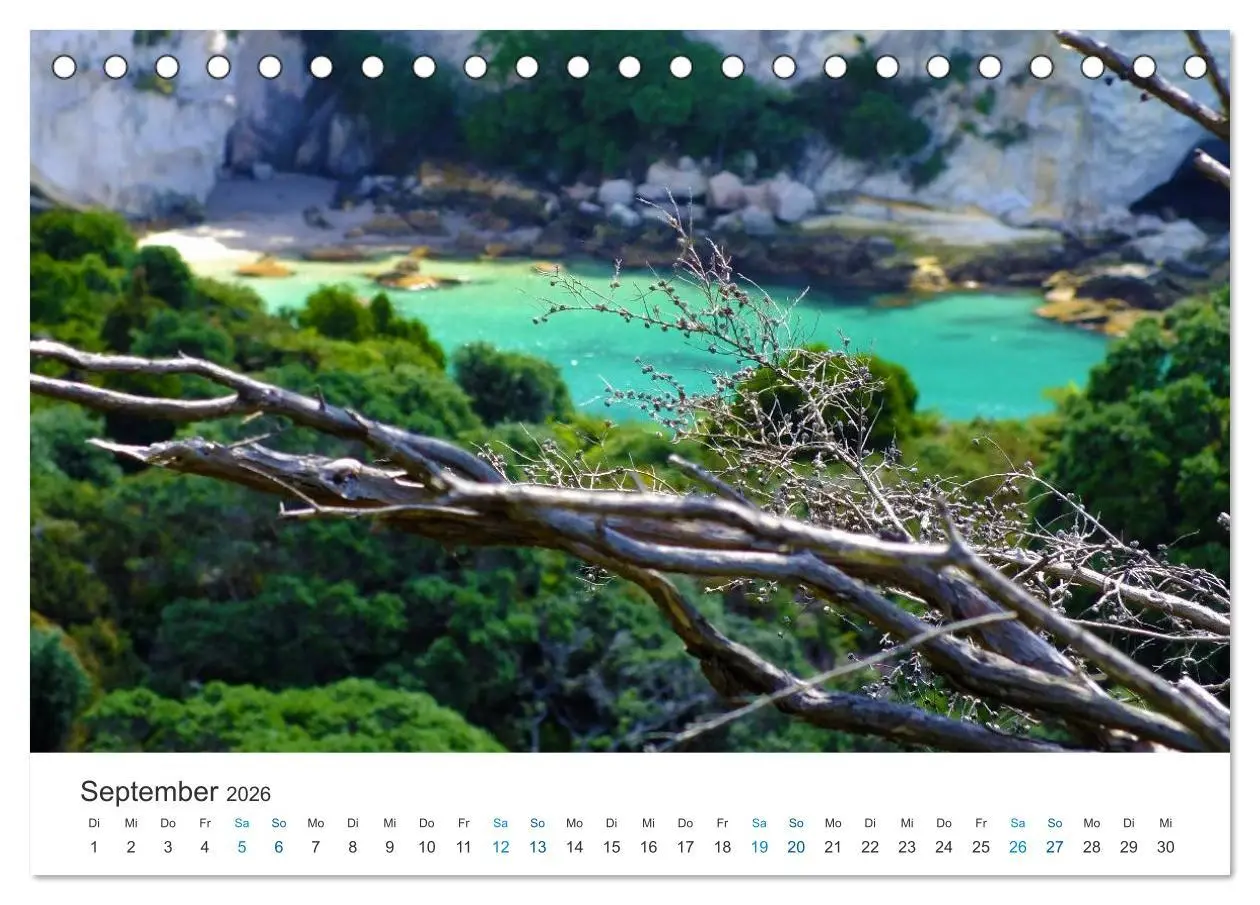 Bild: 9783516203608 | Vielfalt Neuseeland (Tischkalender 2026 DIN A5 quer), CALVENDO...