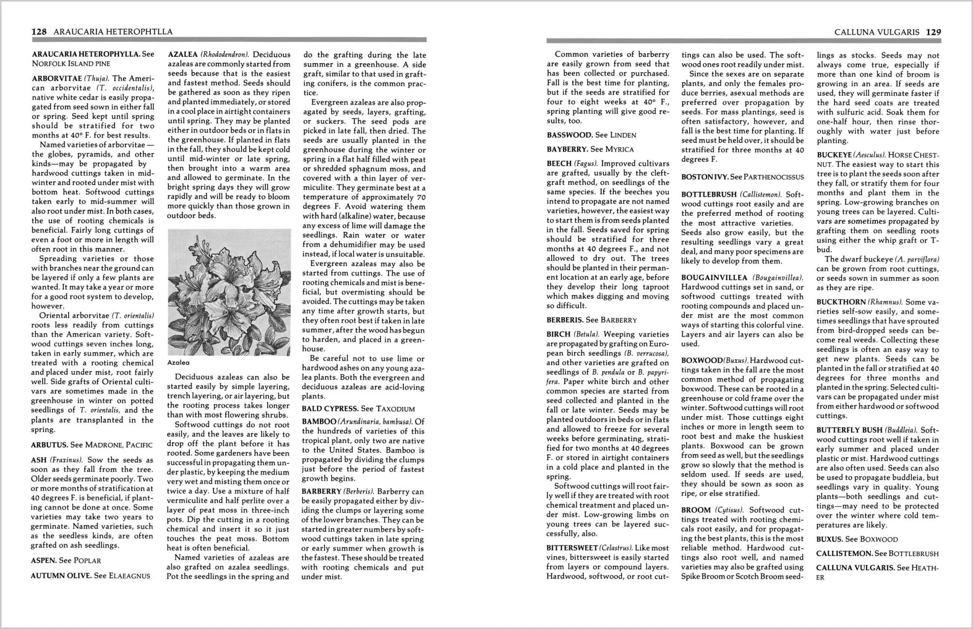 Bild: 9780882663708 | Secrets of Plant Propagation | Lewis Hill | Taschenbuch | Englisch