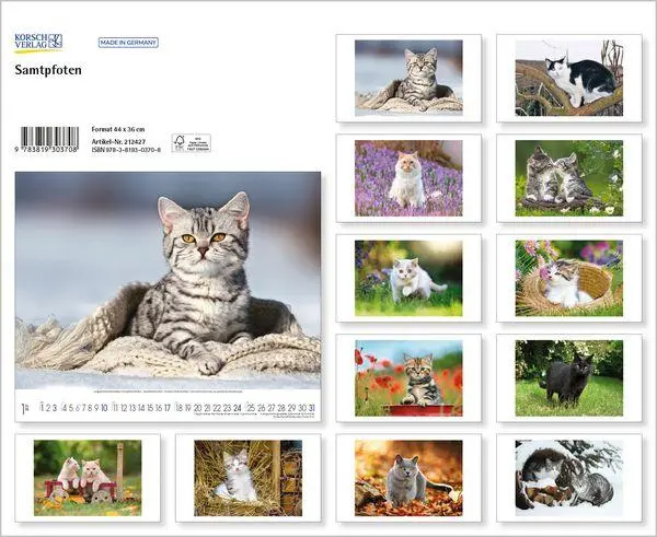 Bild: 9783819303708 | Samtpfoten 2027 | Verlag Korsch | Kalender | 14 S. | Deutsch | 2027