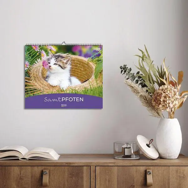 Bild: 9783819303708 | Samtpfoten 2027 | Verlag Korsch | Kalender | 14 S. | Deutsch | 2027