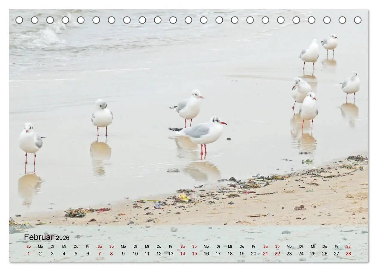 Bild: 9783457573808 | Ostseebad Kühlungsborn. Erholung mit allen Sinnen (Tischkalender...