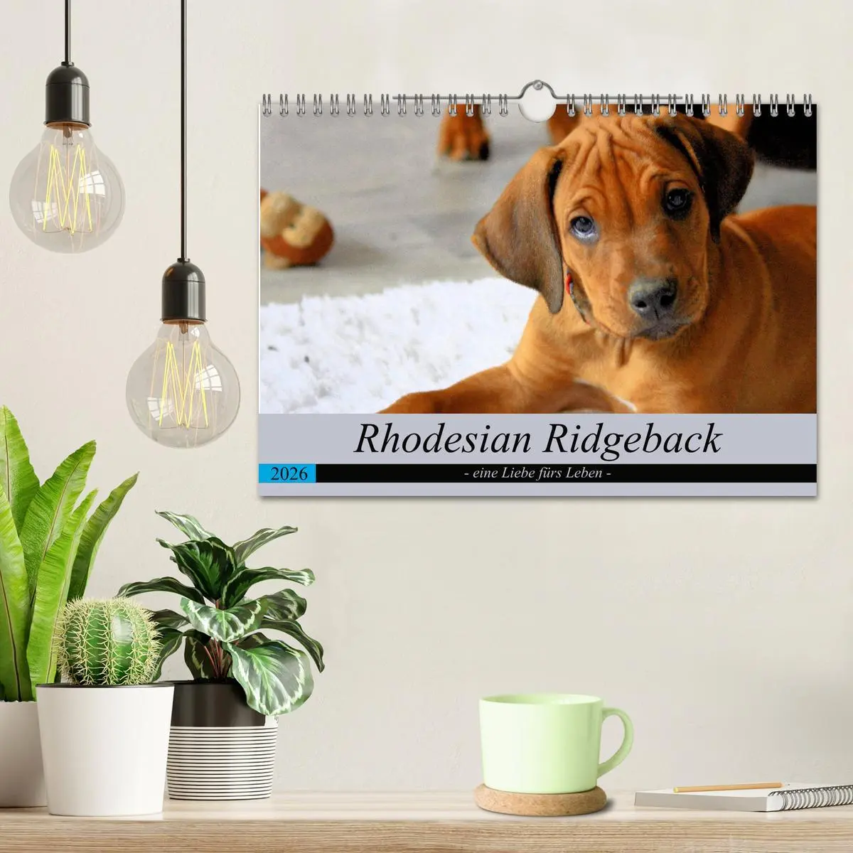 Bild: 9783457883808 | Rhodesian Ridgeback - eine Liebe fürs Leben (Wandkalender 2026 DIN...