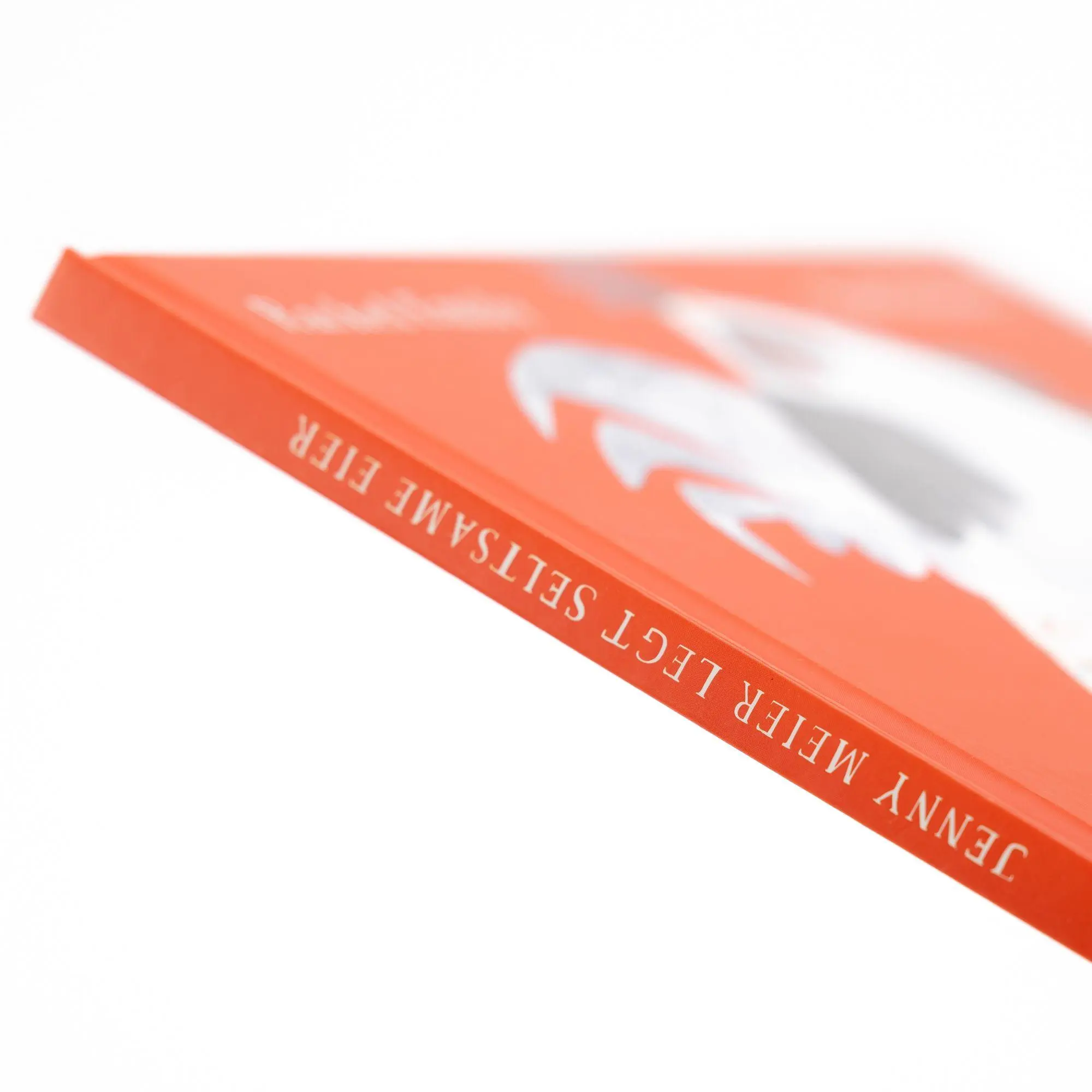 Bild: 9783505153808 | Jenny Meier legt seltsame Eier | Rachel Emily | Buch | 32 S. | Deutsch