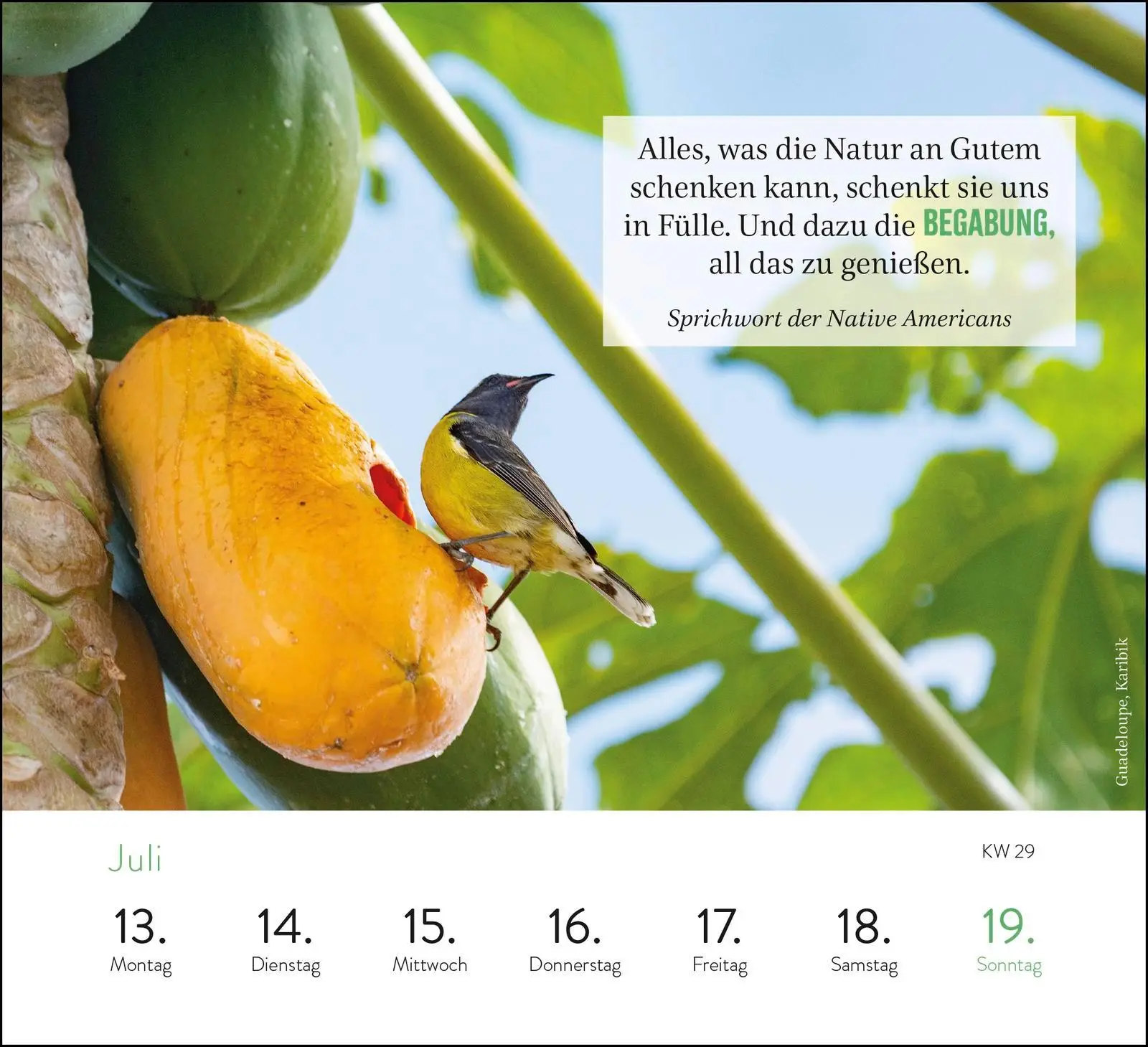 Bild: 4036442013908 | Wochenkalender 2026: Sehnsuchtsorte | Groh Verlag | Kalender | 108 S.